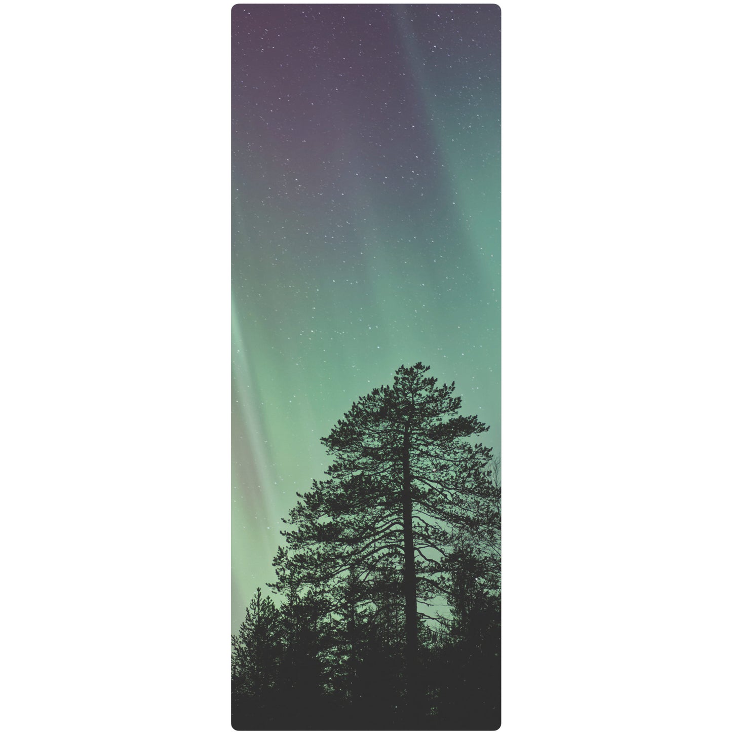 Aurora Borealis